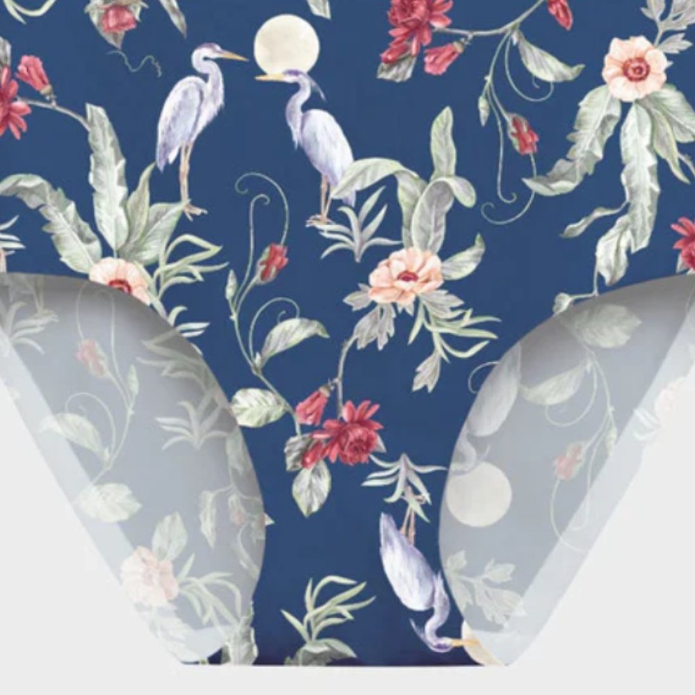 EBY Brief Panty "The Relic" size small